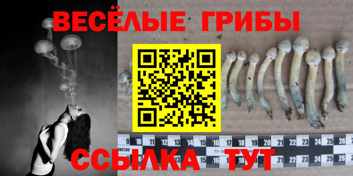 Псилоцибиновые грибы мухоморы Нальчик